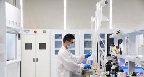 駿亞科技旗下工廠 教育科技的創(chuàng)新引擎與實(shí)訓(xùn)基地